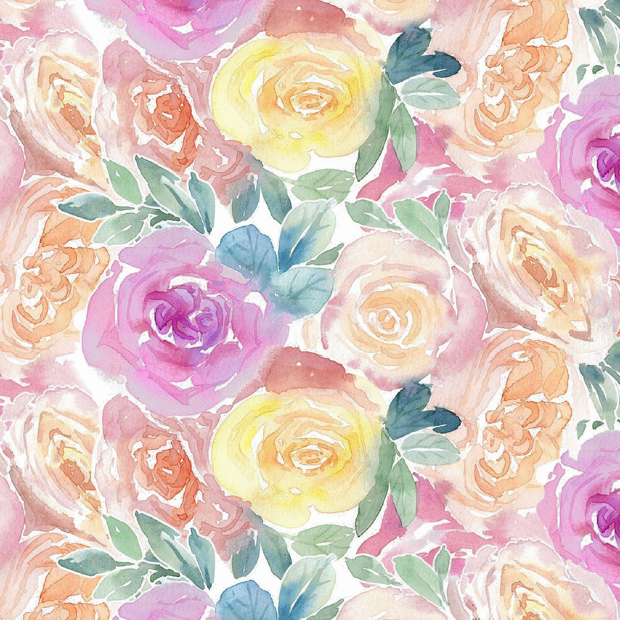 SS2026 The "Isabella"