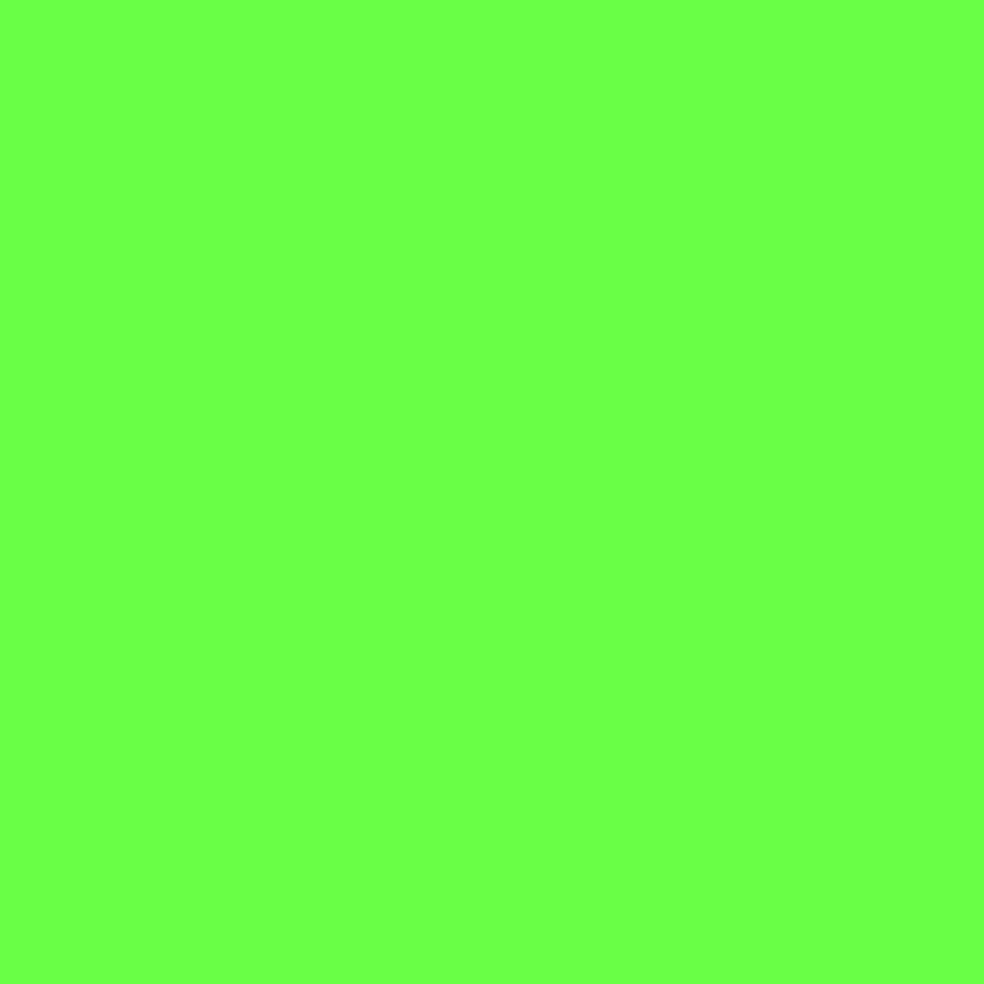 SS2026 Green Gecko