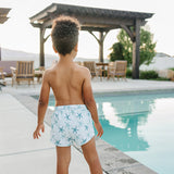 boys swim shorts, boardies, upf swimwear