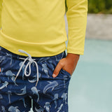The "Hudson" Trunks